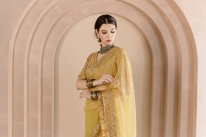 Gulbahaar Organza Saree Gota Work