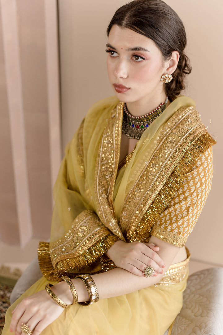 Gulbahaar Organza Saree Gota Work