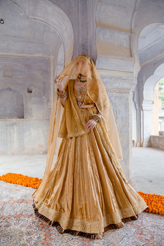 Tussar Satin Swara Beige Lehenga With Organza Dupatta