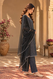 Classic Black Chikankari Straight Kurta Set With Dupatta - side view