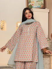 Amisha Light Blue Kurta Set 4