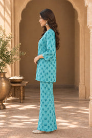 Nirali Aqua Block Print Co-ord Set - side view