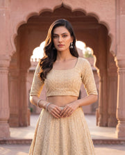 Beigani Beige Sequin Embroidered Lehenga Set 4