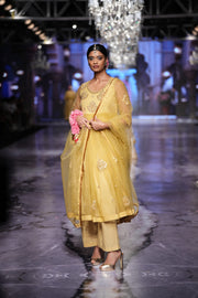Sunhari Mustard Anarkali Set 1