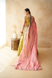 Aishwarya Pista Lehenga Set Gulabo Jaipur