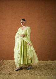 Chandani Pista Anarkali Set 2