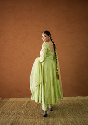 Chandani Pista Anarkali Set 3