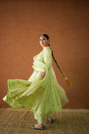 Chandani Pista Anarkali Set 4
