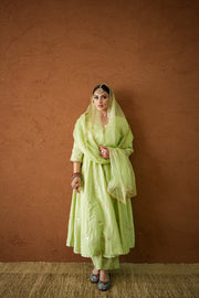 Chandani Pista Anarkali Set 5