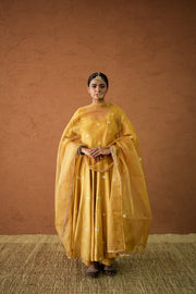 Chandani Mustard  Anarkali Set 1