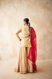 Neena Golden Sharara Set 6