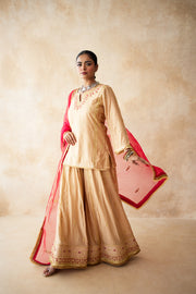 Neena Golden Sharara Set 3