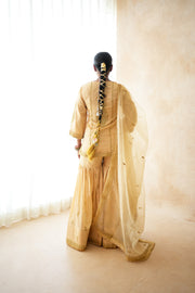 Omaira  Golden Sharara 5