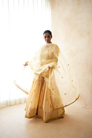 Omaira  Golden Sharara 2