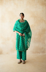 Meera Green Straight Set 4