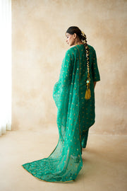 Meera Green Straight Set 5