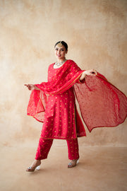 Meera Red Straight Set 3