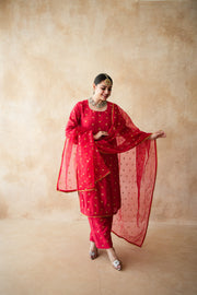 Meera Red Straight Set 4