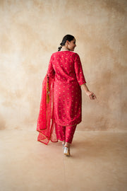 Meera Red Straight Set 5