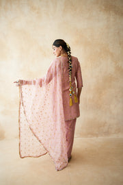 Rani Pink Straight Set 3