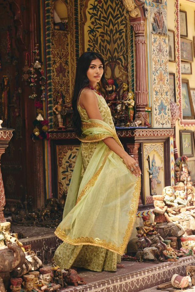 Leela Pista Sharara Set
