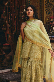 Leela Pista Sharara Set 3