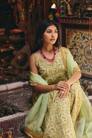 Leela Pista Sharara Set 5