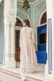 Hairat Grey Anarkali Set 5