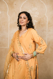 Shyra Mustard Straight set 2