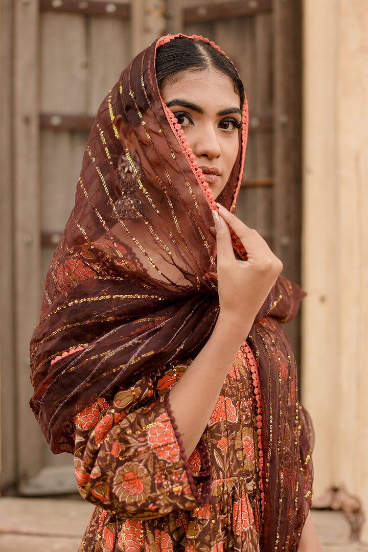 Prital Taari Brown Anarkali Set