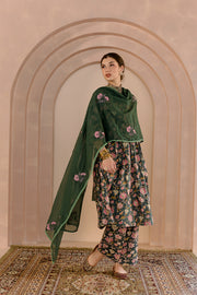 Sparrow Green Anarkali Set 3