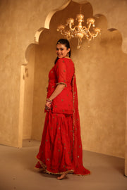 Saqi Red Georgette Embroidered Sharara Set With Dupatta - view 5