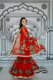 Aksar Red Sharara Set 5