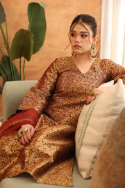 Abeer Brown Brocade Kiran Lace Straight Kurta Set With Organza Dupatta - view 5