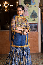 Gota And Zari Asmaan Blue Cotton Sharara Set  With Organza Dupatta 3