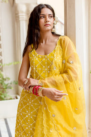 Alina  Yellow Sharara Set 5