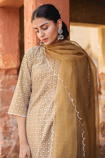 Classic Brown Chikan Set Gulabo Jaipur