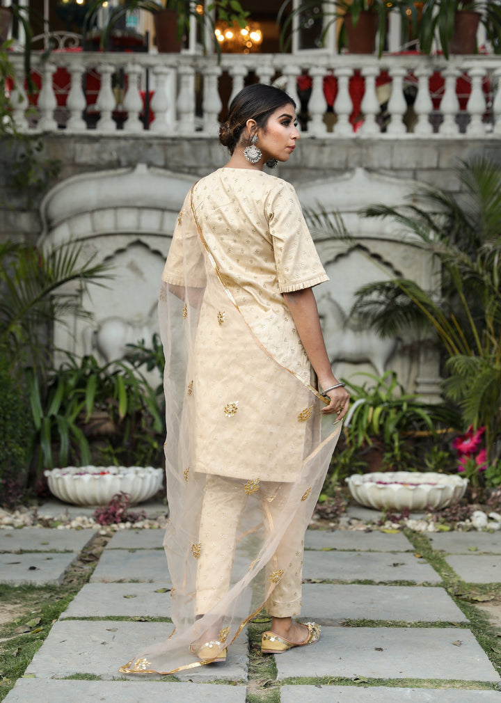 Falki Beige Straight Set Gulabo Jaipur
