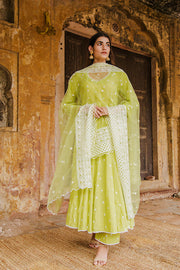 Hairat Green  Anarkali Set 2