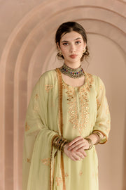 Shama Pista Georgette Straight Kurta Set With Gota Patti Detailing Gulabo Jaipur