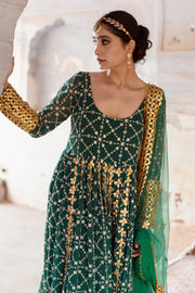 Georgette Mallika Green Gown Set With Organza Dupatta 2