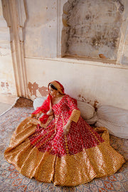 Georgette Mallika Red Gown Set With Organza Dupatta 3