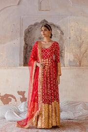 Georgette Mallika Red Gown Set With Organza Dupatta 4