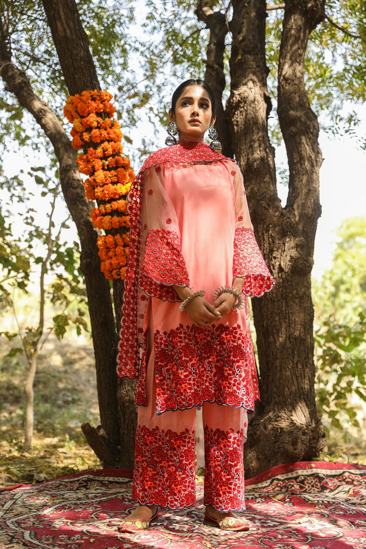 Mastani Pink Straight Set Gulabo Jaipur