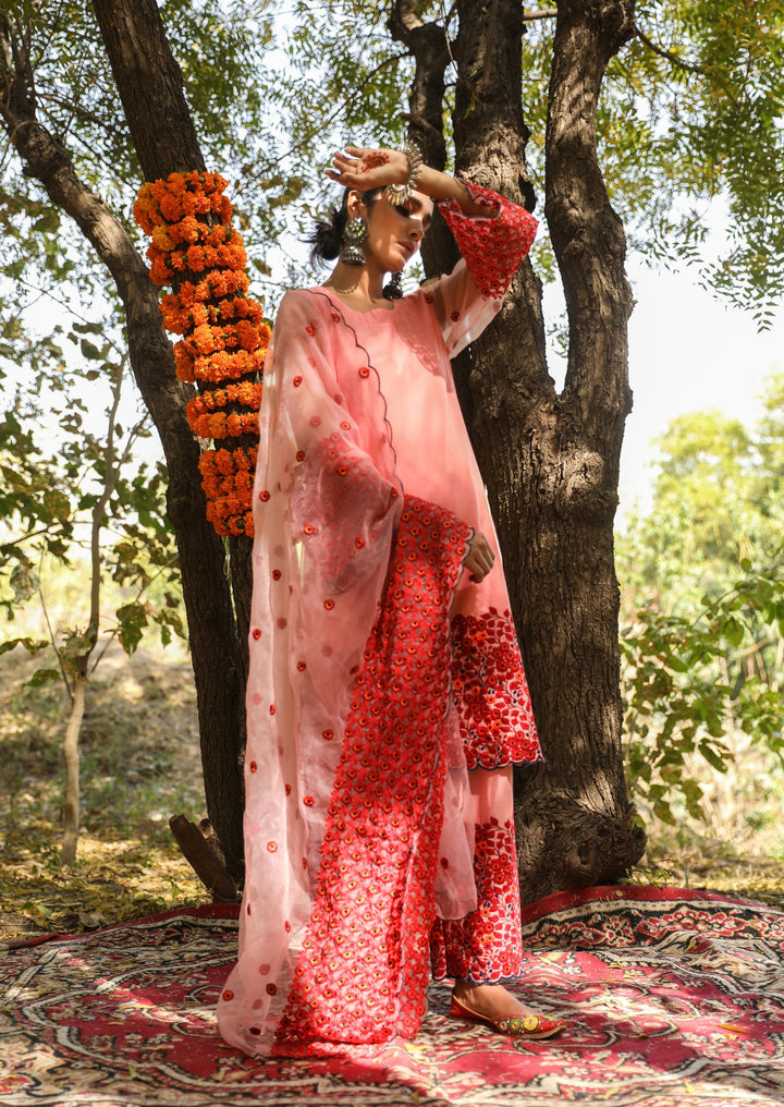 Mastani Pink Straight Set Gulabo Jaipur