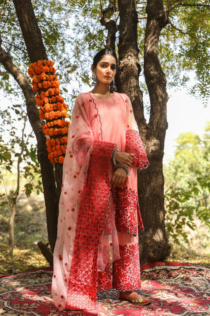 Mastani Pink Straight Set Gulabo Jaipur