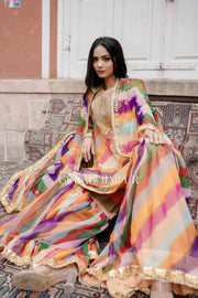 Qala Peach Sharara Set 5