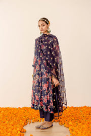 Ruby Blue  Anarkali Set 3