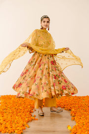Ruby Yellow Anarkali Set 1