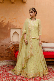 Georgette Kachi Patti Shagun Pista Lehenga With Dupatta 3